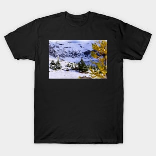 Ptarmigan Cirque. T-Shirt